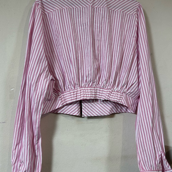 Fashion Nova Pink Pinstripe Crop Top, Long Sleeve, Plunge Neckline Size 3XL - Picture 4 of 6